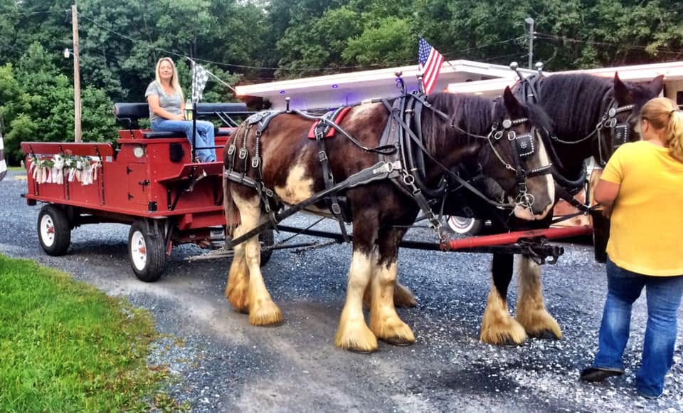 Lisa Steiner on a red wagon with two harnessed horses.